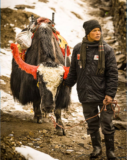 Sikkim